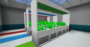 Hydroponics!