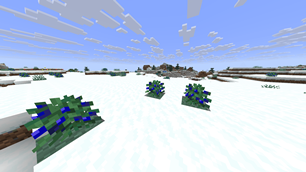 picture1.png