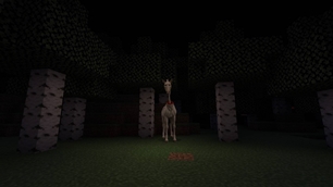 encounter with creepy horse