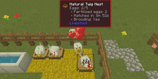 Nest