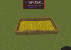 feed