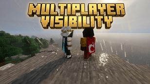 Multiplayer Visibility