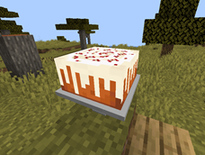 Cake on top of Cake Decorator