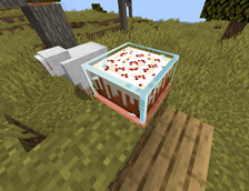 Cake display with a cake inside