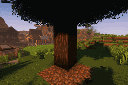 Spruce Tree Chopping