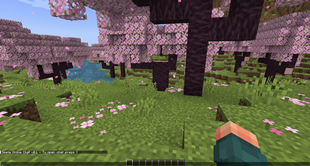 Simple Online Chat v0.1