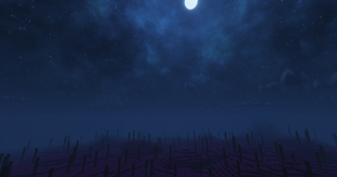 The Rift Dimansion