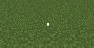 valve before