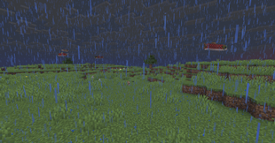 fish-swim.png