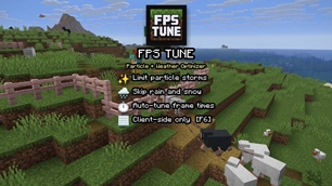 fps tune