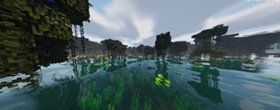 Swamp