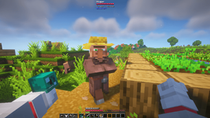 Villager