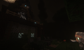 Hiding In the Woods