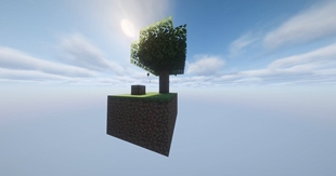 Your Dream World!