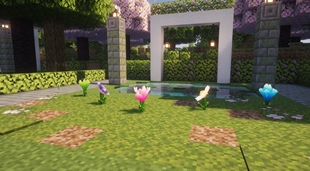 The Lantern Garden