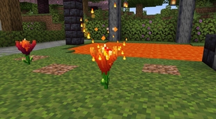 Endoflame at Work (No Shaders)