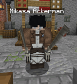 Mikasa Raid.png