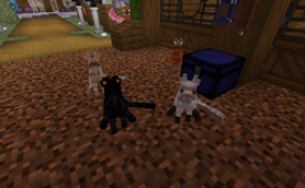 Meow!