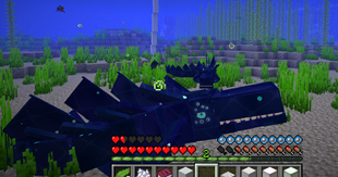 Water players in leviathan morph