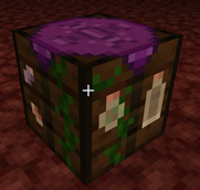 infusion_table.png