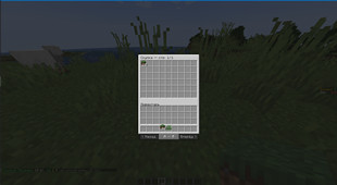photo1.png