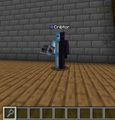 Mace in hand