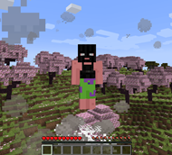 YOU CAN FLY WİTH MOKU MOKU NO Mİ (and mera mera no mi)