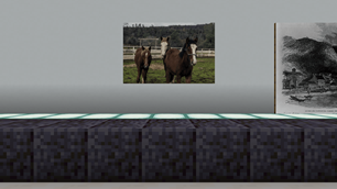 04-wild-west-closeup.png
