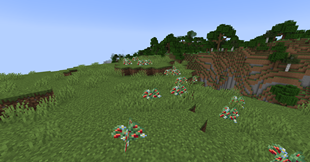 image-attachment_6e9ef96e-3c40-4f56-b7e8-813c5e29f264.png