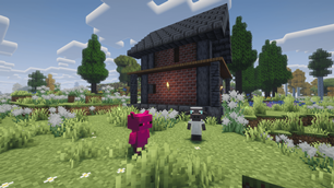 Animal Crossing