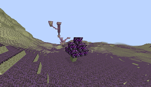 The Ender Garden