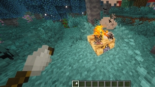 Roasting a marshmallow