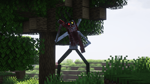 Jacky