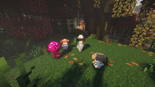 image-attachment_c704bf4e-3c27-4286-b30d-16a61cd4499b.png
