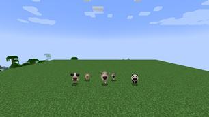 big-nose-animals-herd.png