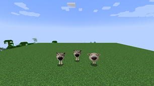 big-nose-wolf-and-sheep.png