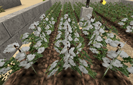 4b1e64cf1bbde8a380a72b69657c6b61.png