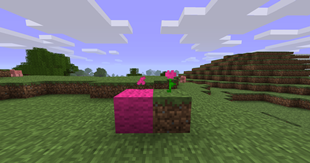 2026-09-13_20.09.30.png