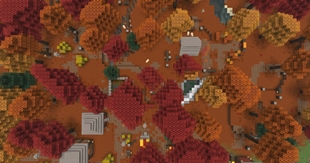 BIRDSEYE VIEW