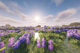"lavender field" from Biomes O' Plenty mod<3