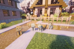 "even cuter cats" resource pack by eeveeism<3