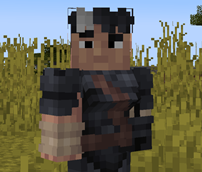 (1.2.1+)