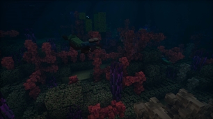 coral_reef.jpeg