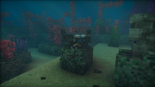 mantis_shrimp.jpeg