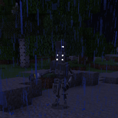 Duelist