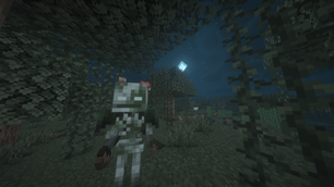 Bogged spawn in Swamp