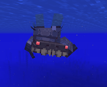 Ocean FISH!!!