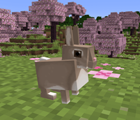 European Rabbit.png