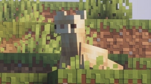 Golden Ferret.jpg