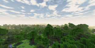 Faentasy Shaders
